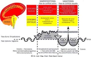 nueva medicina germánica